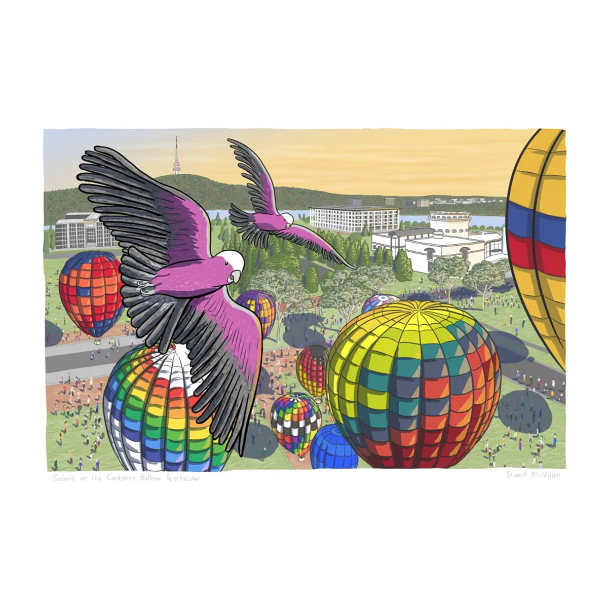 Art Print A3 Galahs at Balloon Spectacular - Stuart McMillen