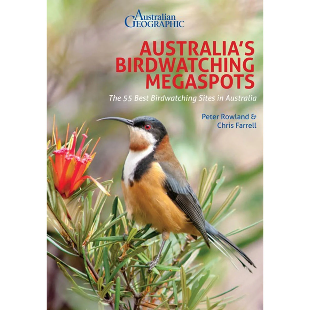 Australia's Birdwatching Megaspot - Peter Rowland