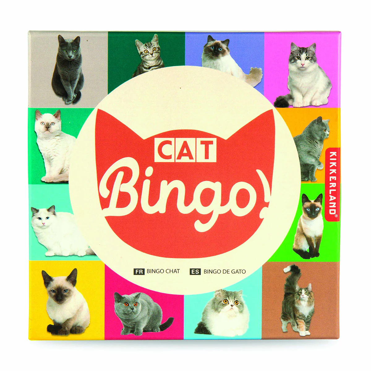 Cat Bingo - Isalbialbi