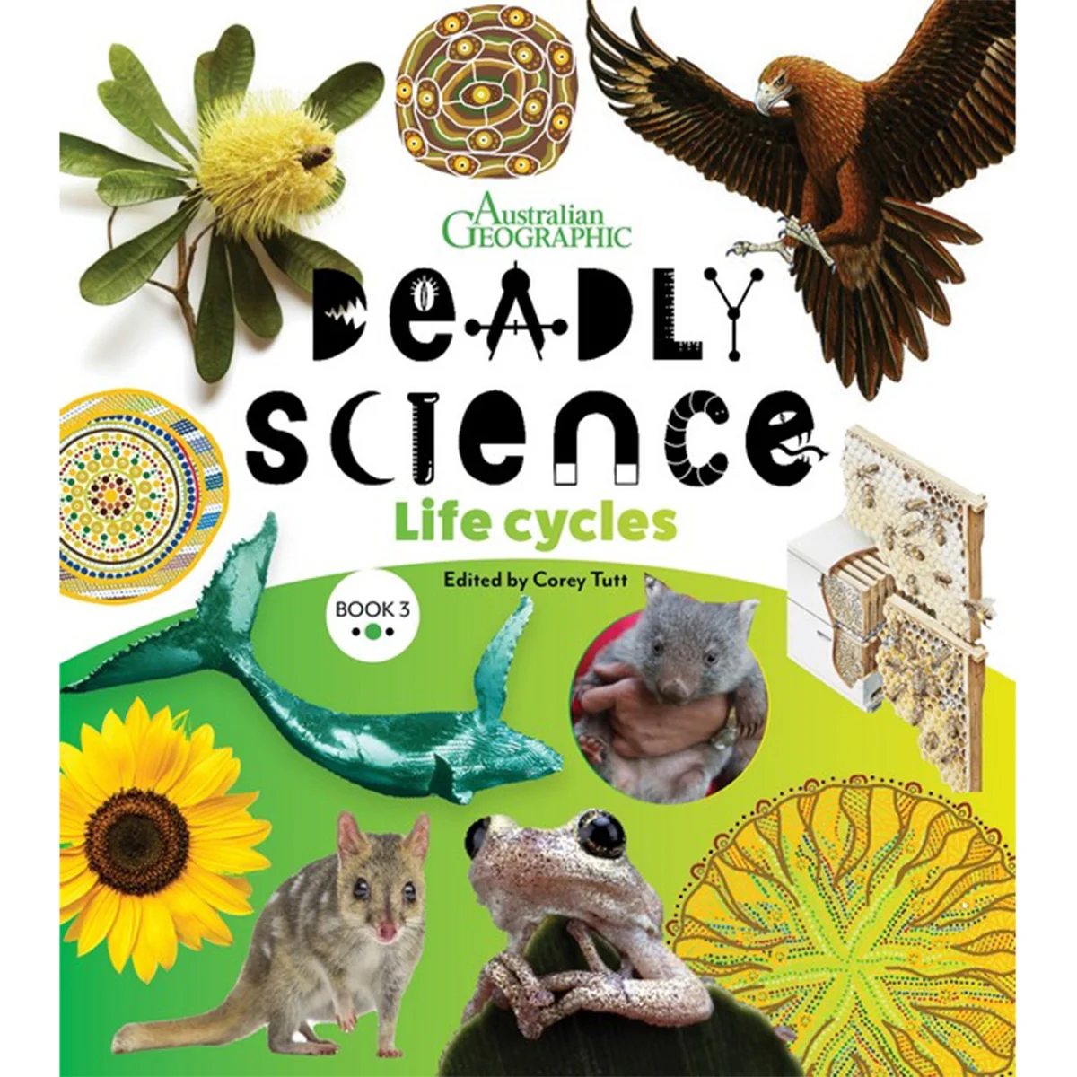 Deadly Science Book 3: Life Cycles