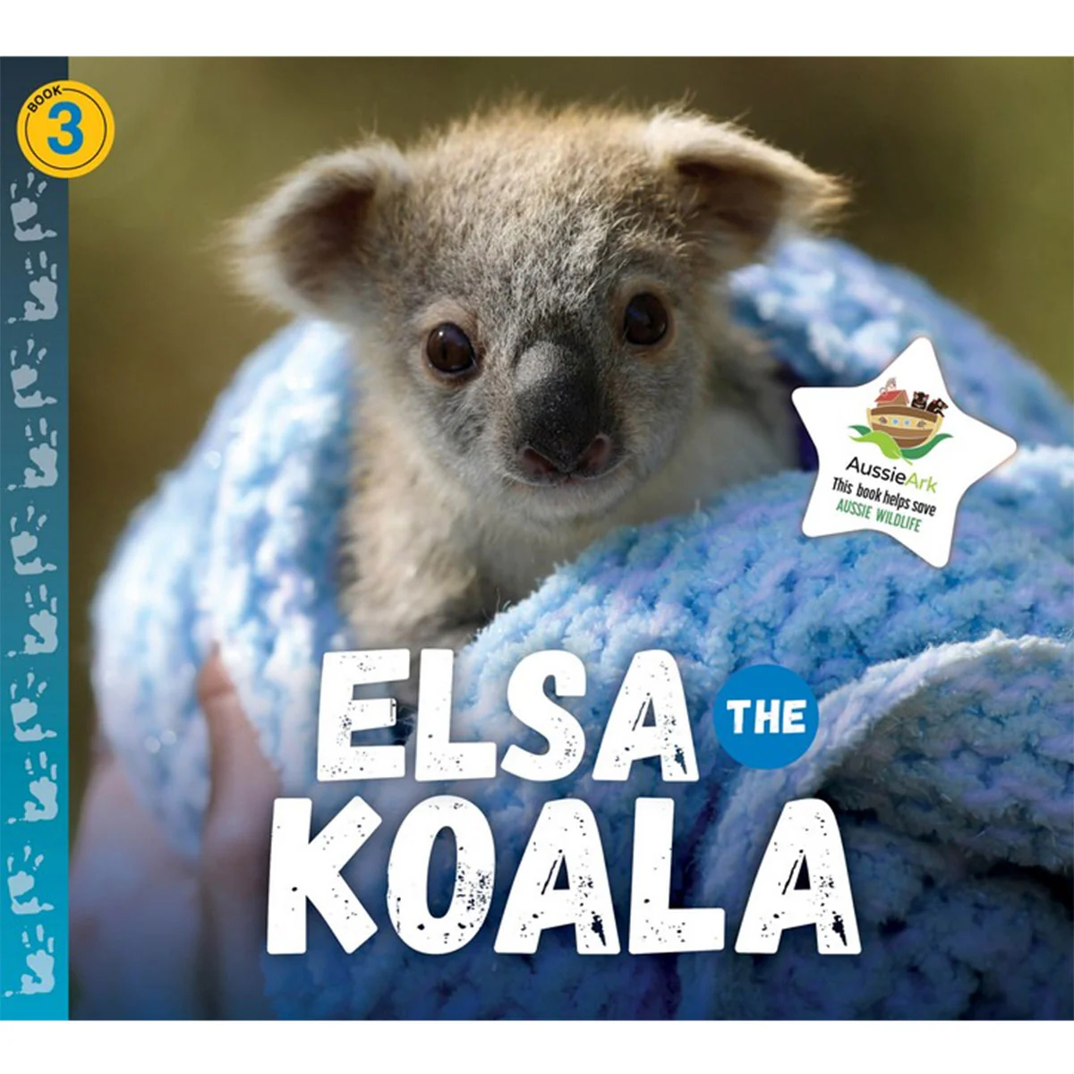 Elsa the Koala