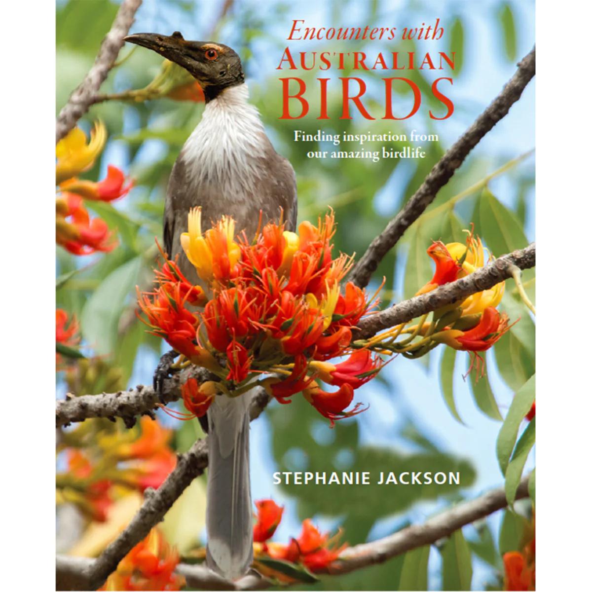 Encounters with Australian Birds