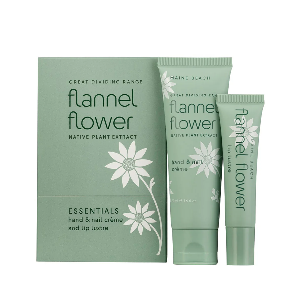 Essentials Pack Flannel Flower - Maine Beach