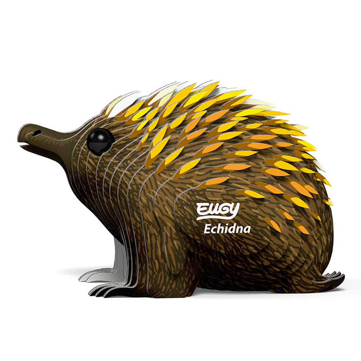 EUGY Echidna
