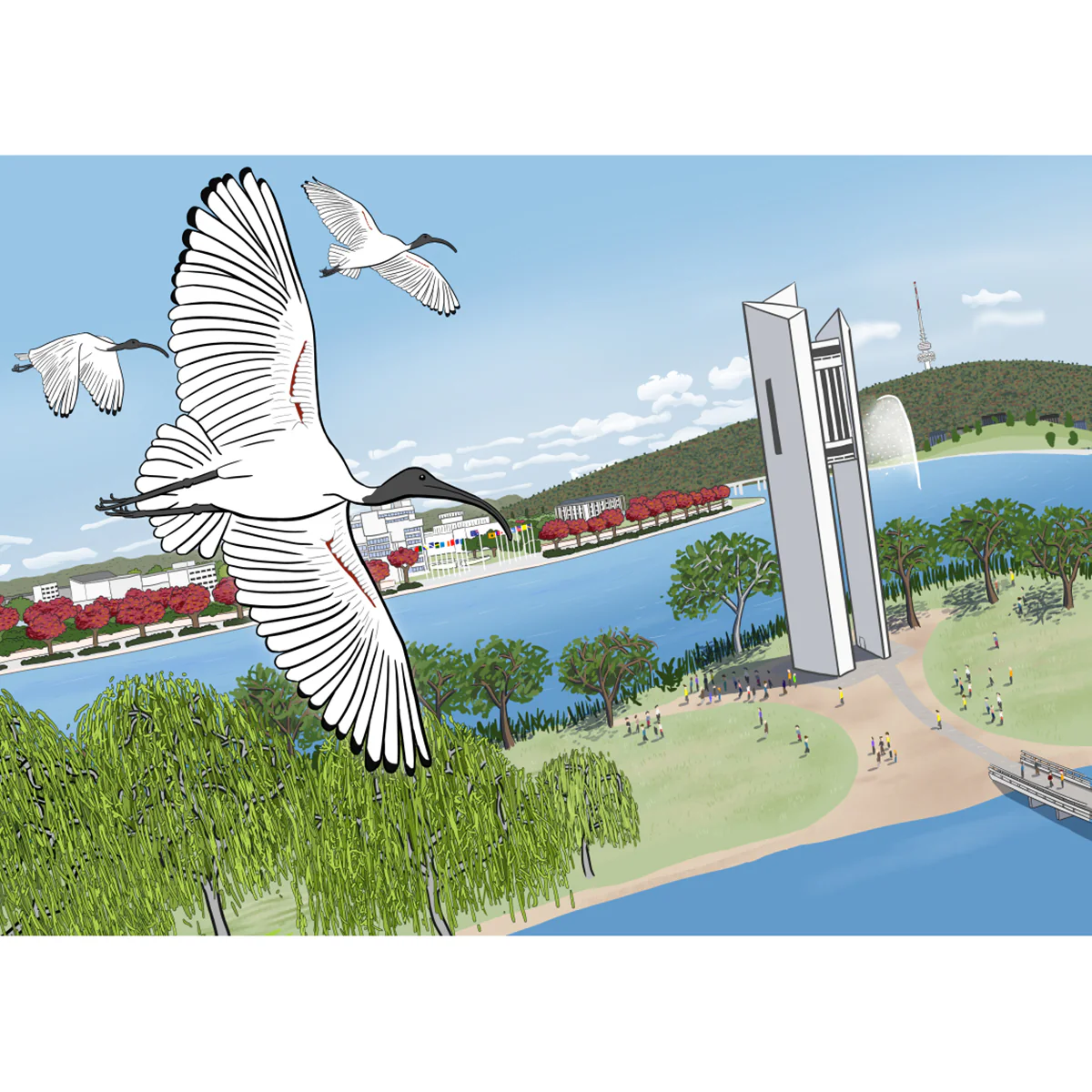 Greeting Card Australian White Ibis at the National Carillon Canberra - Stuart McMillen