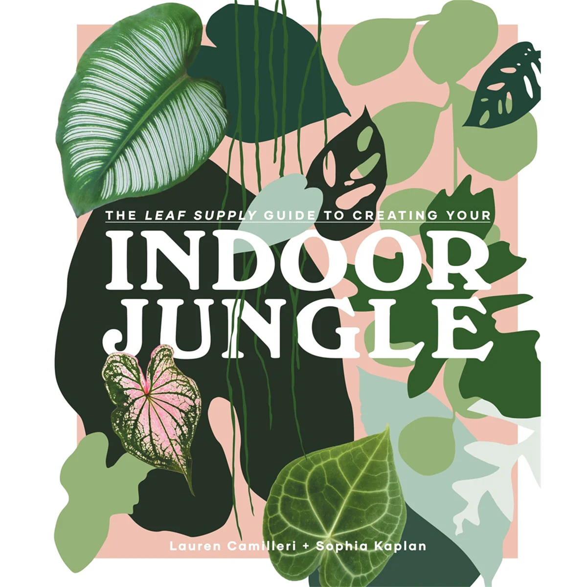 Leaf Garden Supply guide to Creating Your Indoor Jungle