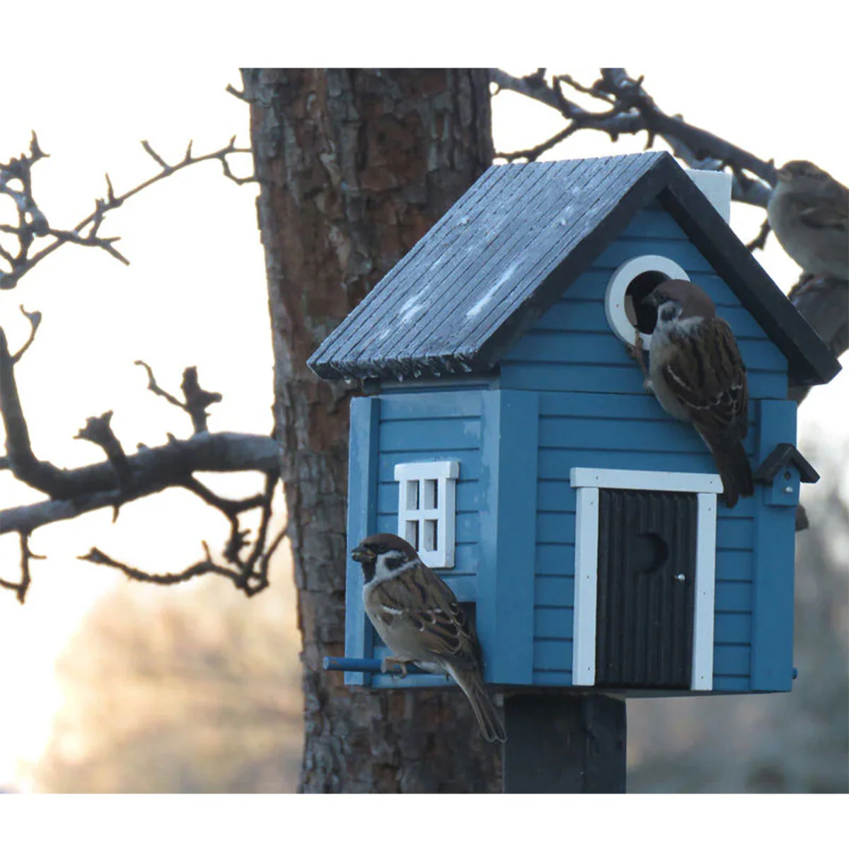 Multiholk Blue Cottage - Hall & Wares - Image 2