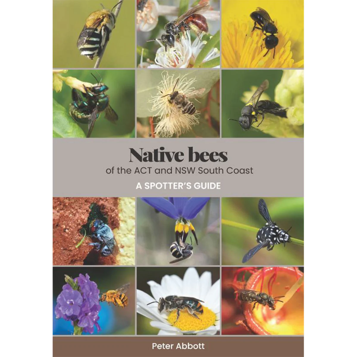 Native Bees of the ACT and NSW South Coast