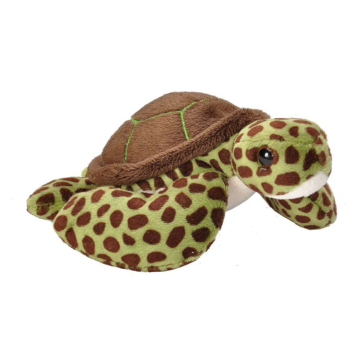 Pocketkins Green Sea Turtle - Wild Republic