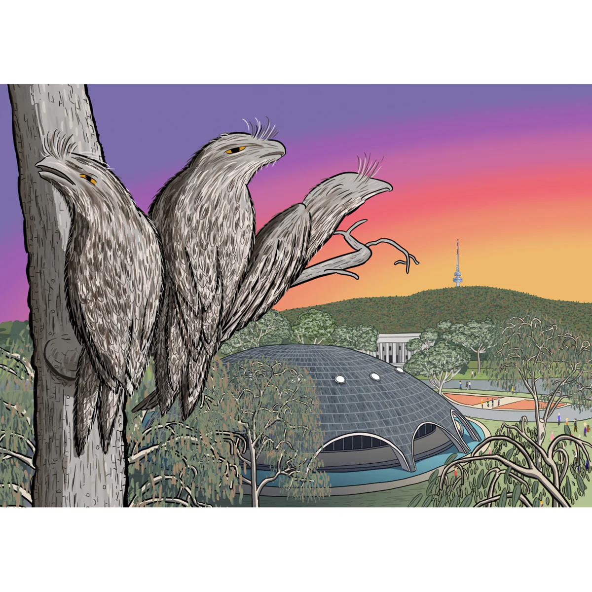 Postcard Tawny Frogmouths at the Shine Dome Canberra - Stuart McMillen