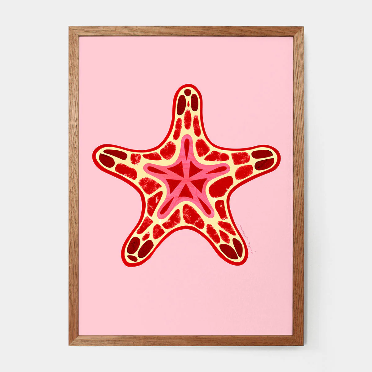 Print Seabiscuit-Starfish A4 - Pete Cromer