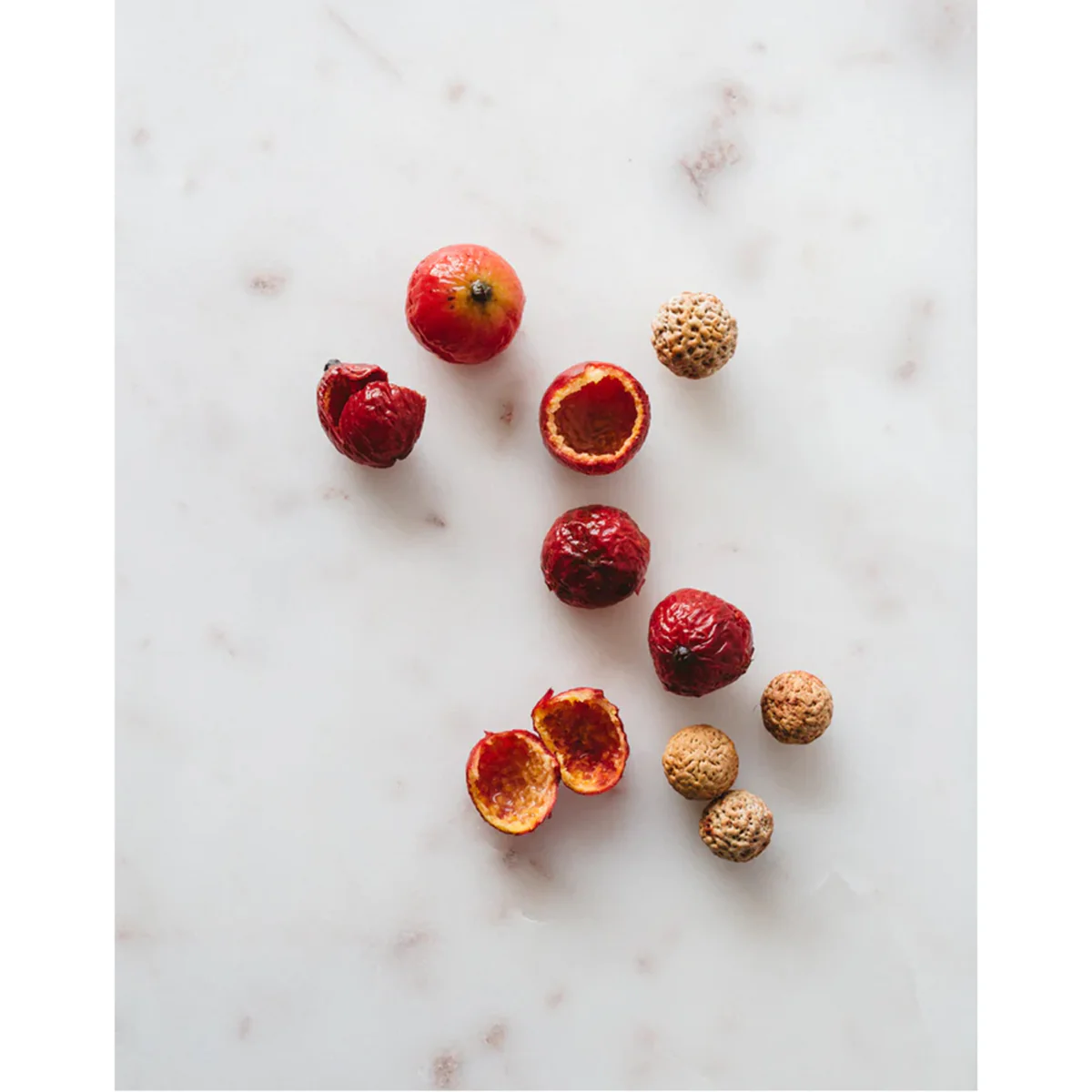 Quandong 50g - Warndu - Image 2