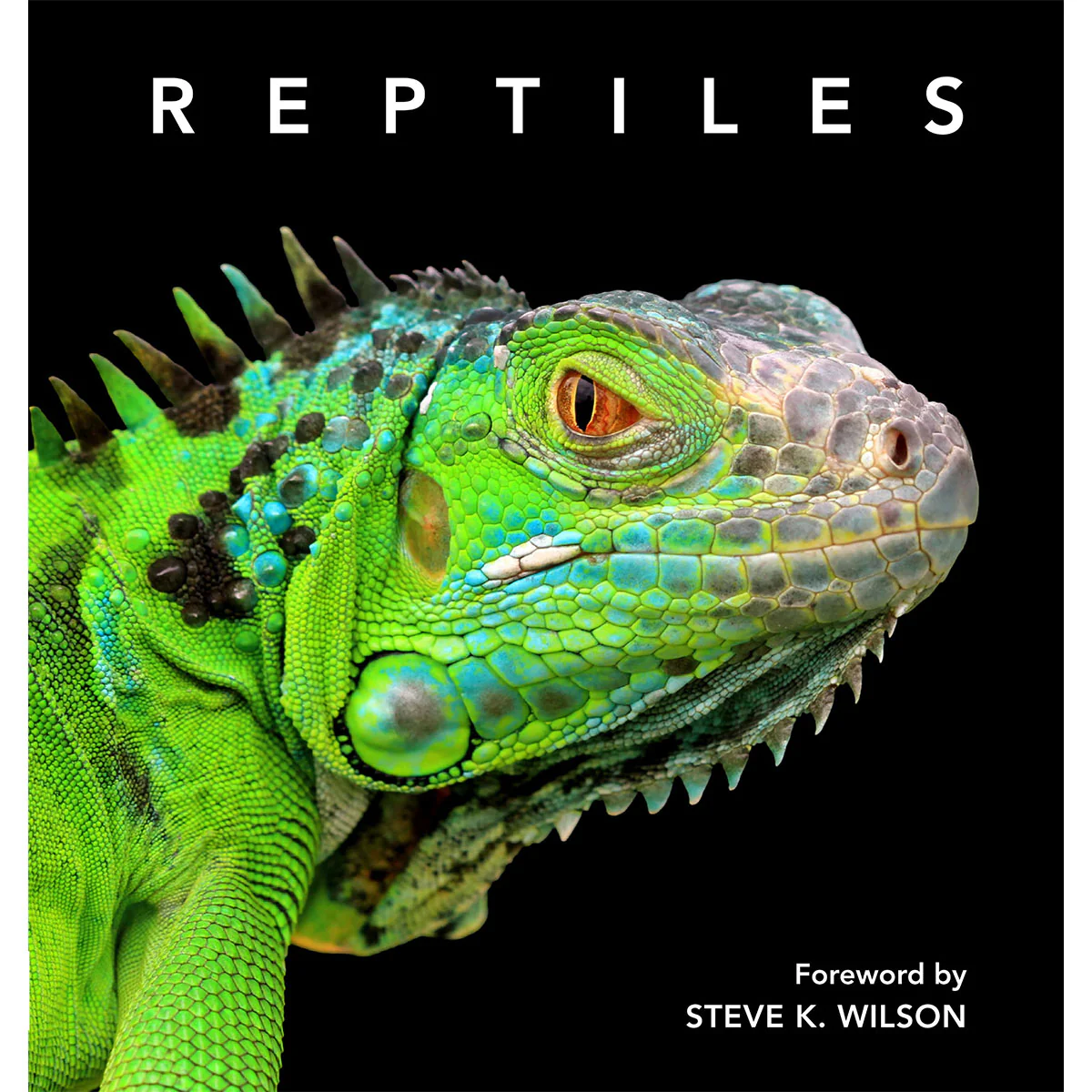 Reptiles Deluxe Series