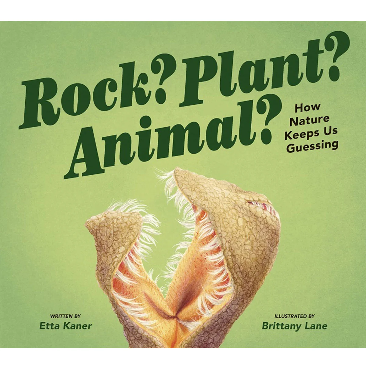 Rock? Plant? Animal?: How Nature Keeps Us Guessing