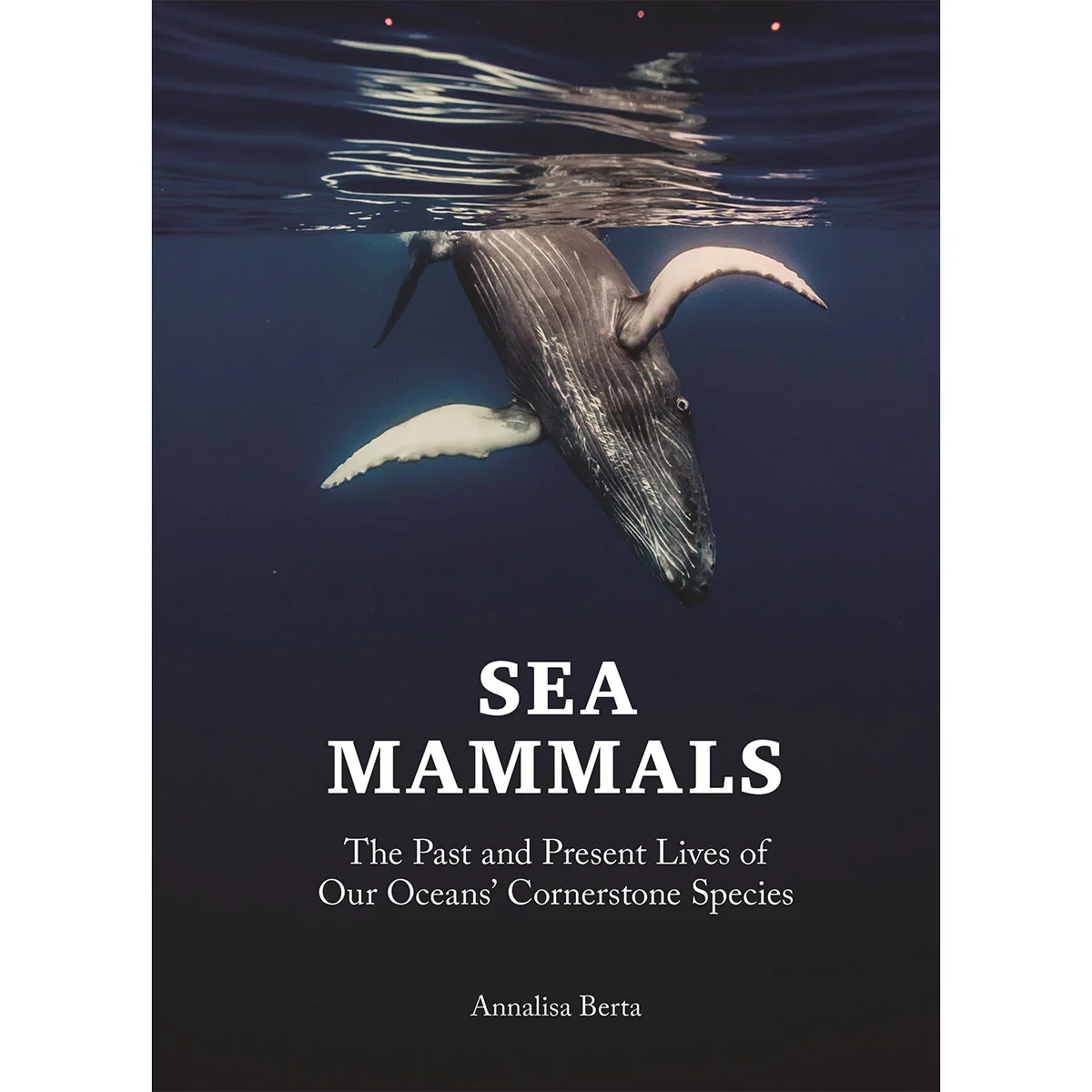 Sea Mammals