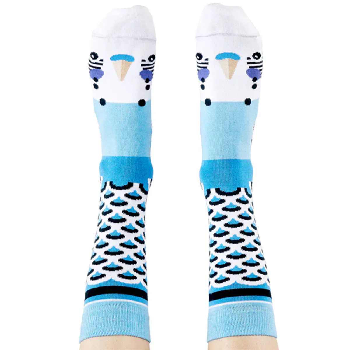 Socks Blue Budgie - WilsonPayne Aust