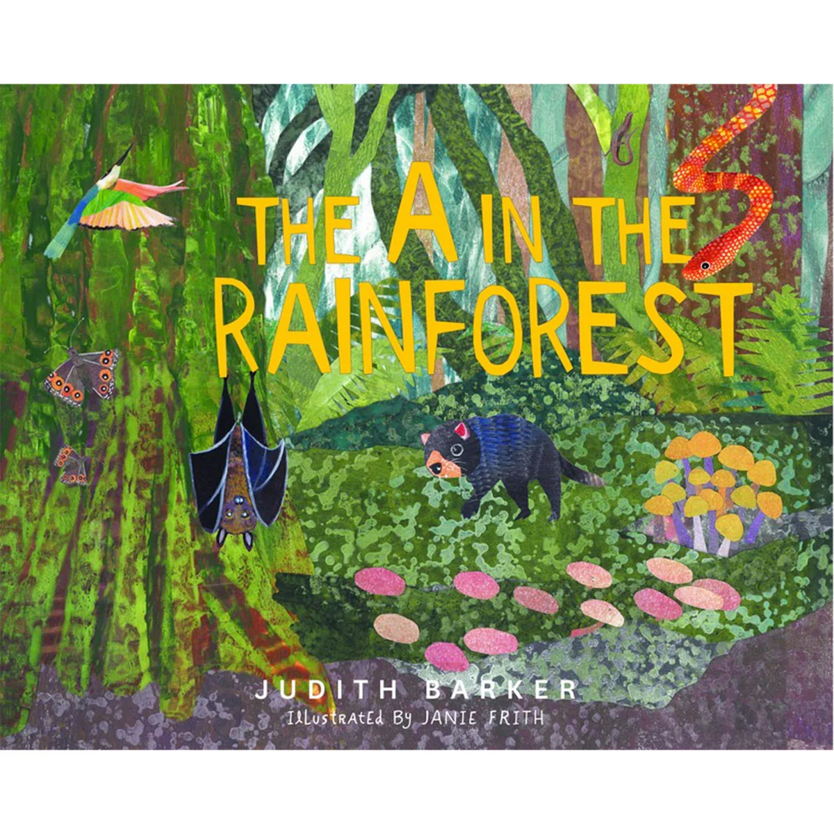 The A in the Rainforest - Judith Barker