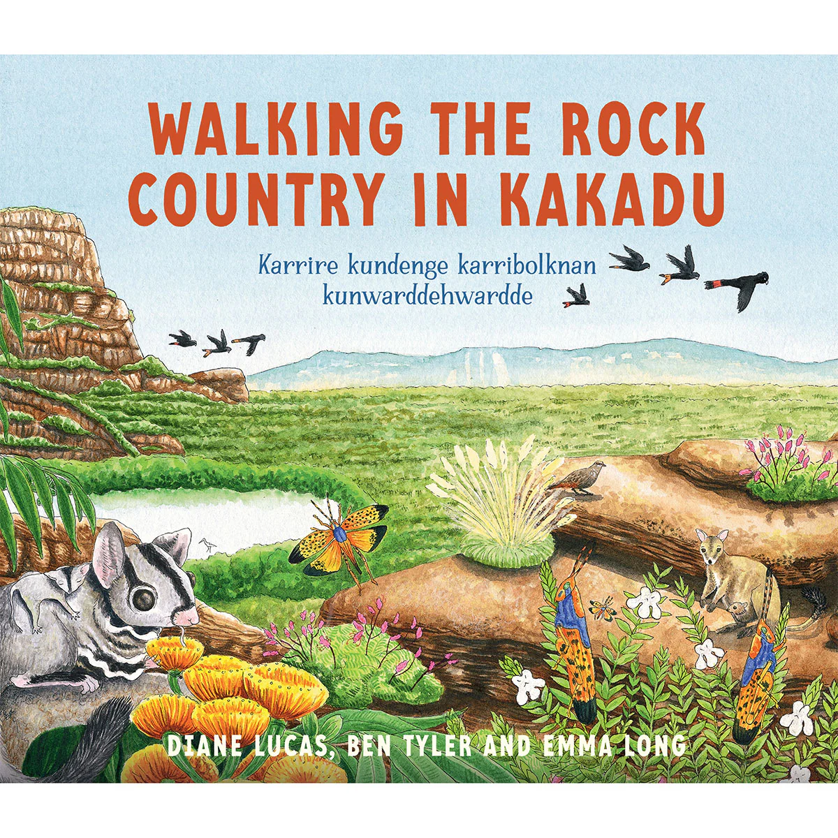 Walking the Rock Country - Diane Lucas