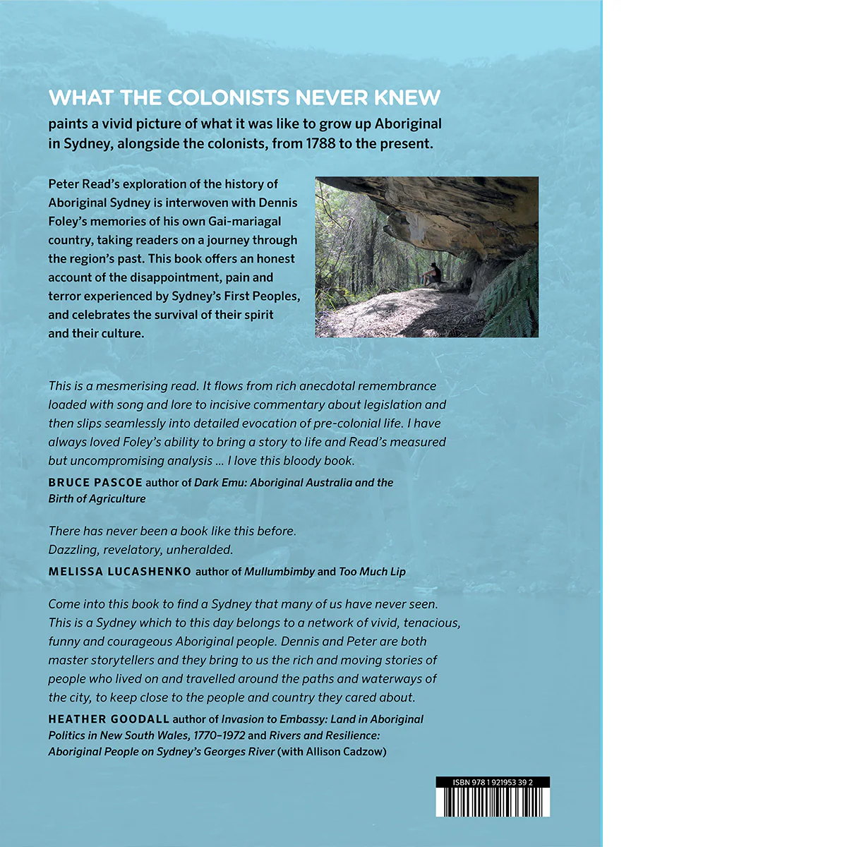 What the Colonists Never Knew - Image 2